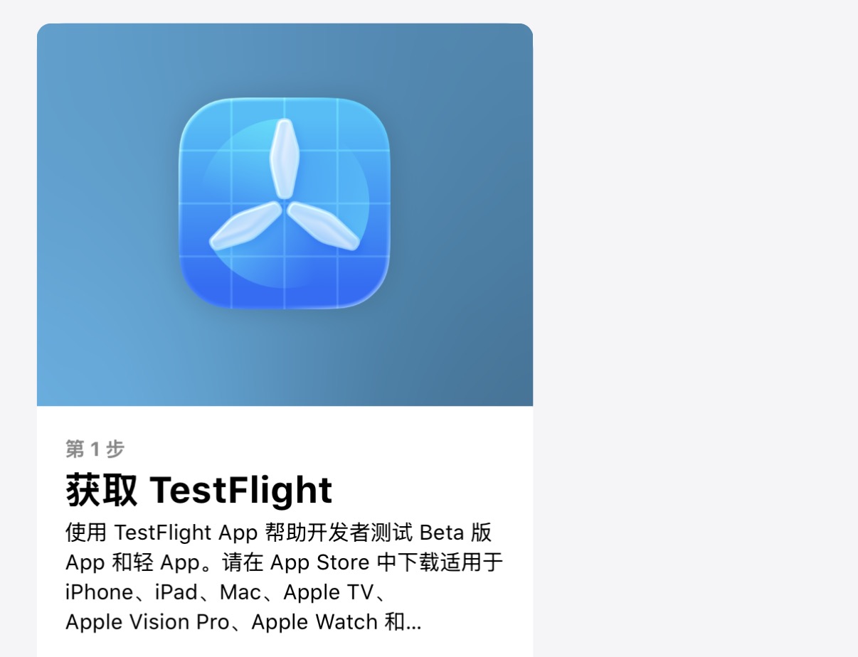 在 App Store 获取 TestFlight 的页面示例