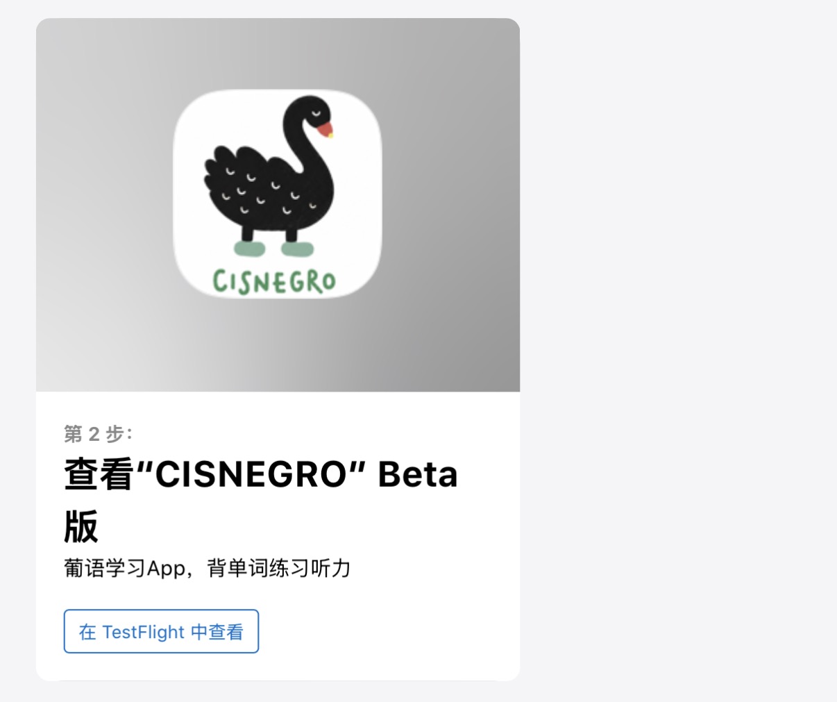 在 TestFlight 中查看 CISNEGRO iOS 版的页面示例